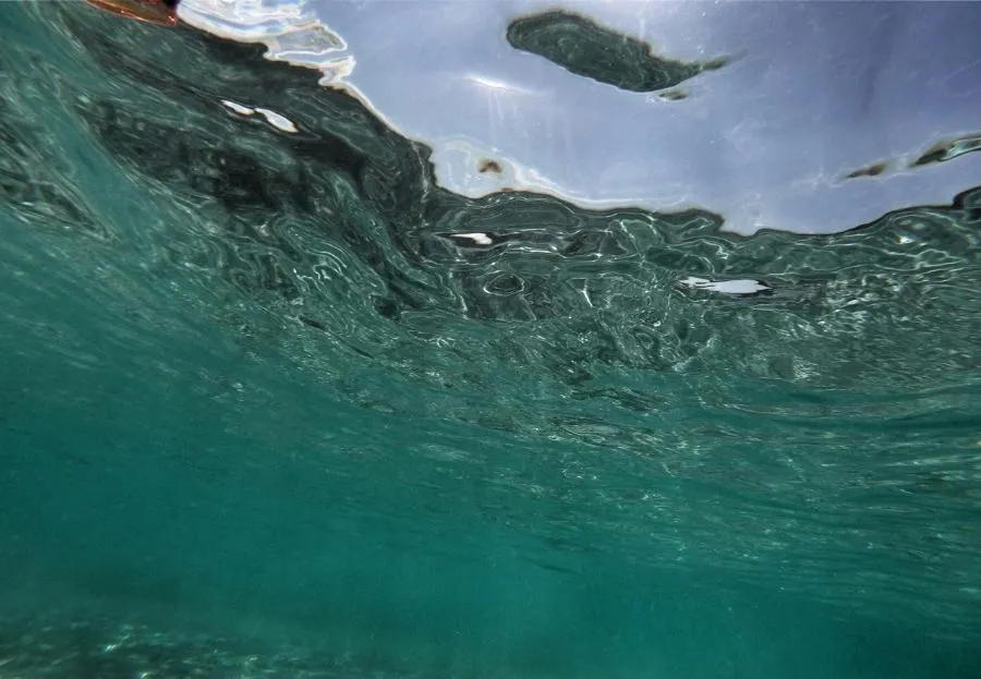 История рек и каналов Северной столицы: Малая Невка | ФОТО Bernd Dittrich on Unsplash