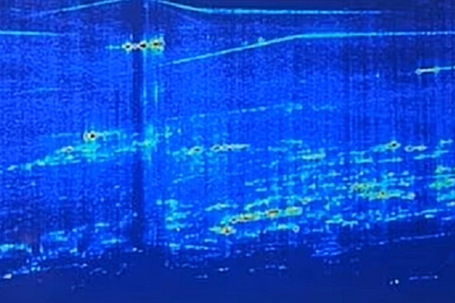 Cканирование показывает, что под пирамидой Хефрена скрывается целый город (скрытые под землёй объекты показаны на снимке более ярким цветом).