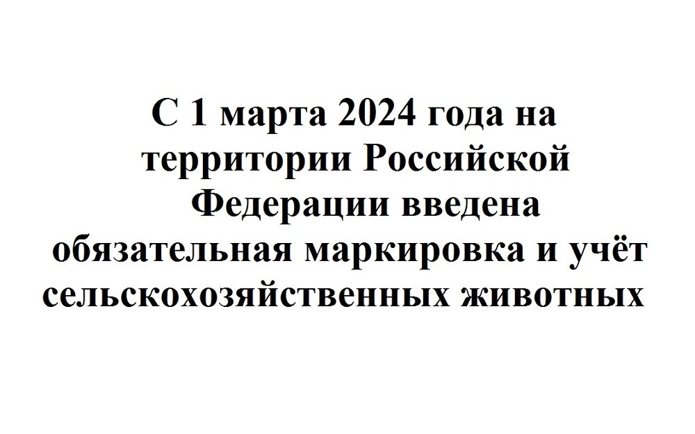 С 1 марта 2024 года на территории Российской Федерации введена обязательная маркировка и учёт сельскохозяйственных животных