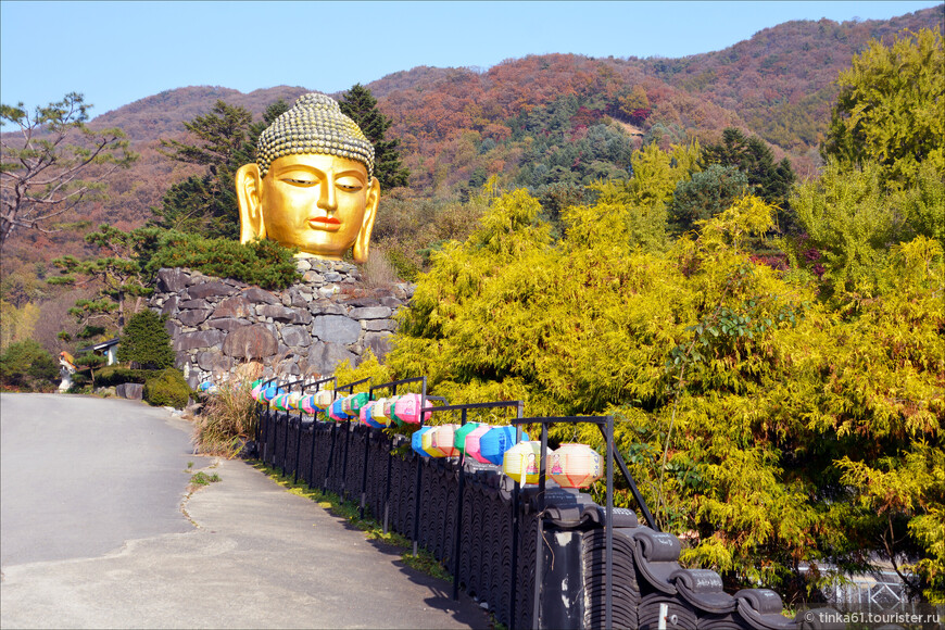 Танпхун - фольклор, этнография и лесной храм