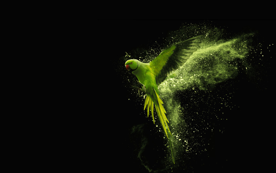 Результаты исследования корпоративного обучения в России 2025