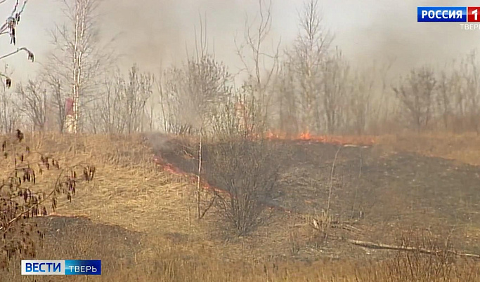 В Тверской области стартовал пожароопасный период