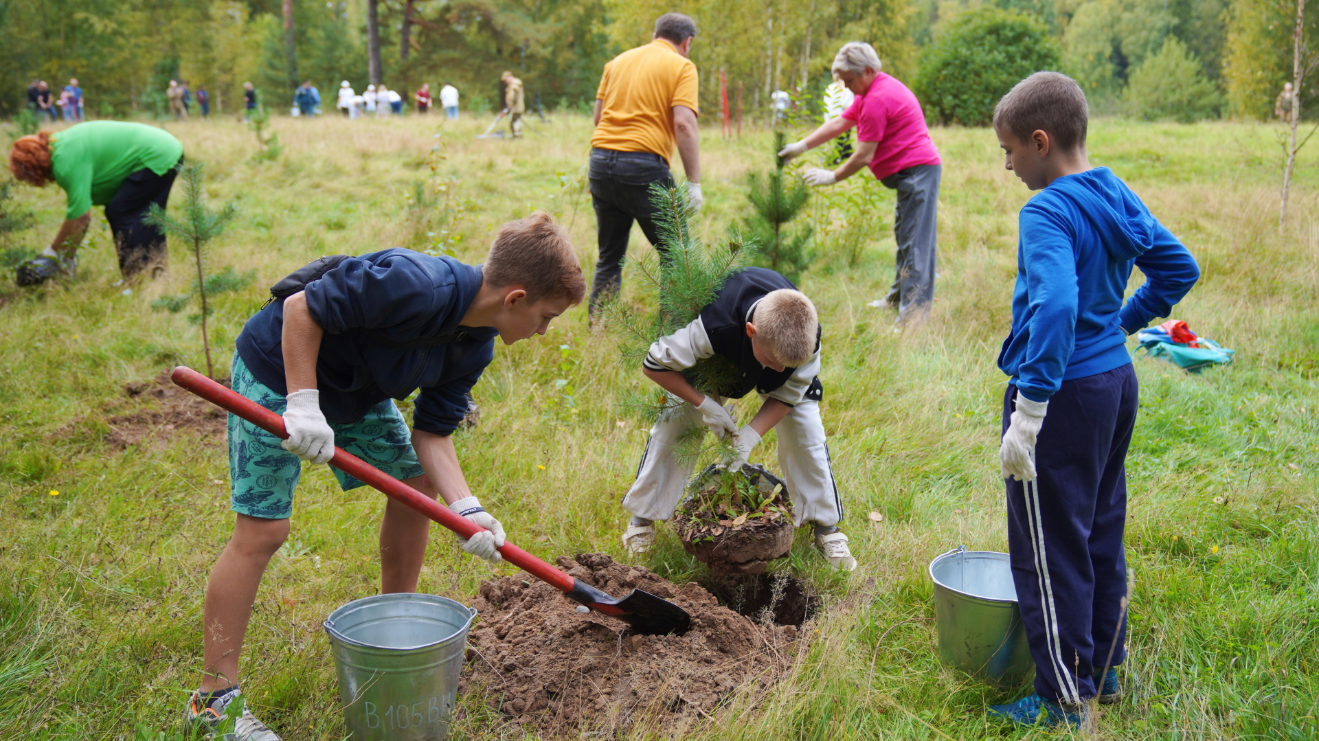 В комитете Ивановской области по лесному хозяйству подвели итоги работы 