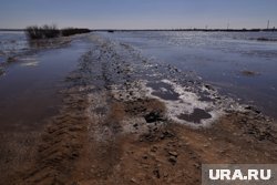Ишим в районе Ильинки достиг 748 сантиметров