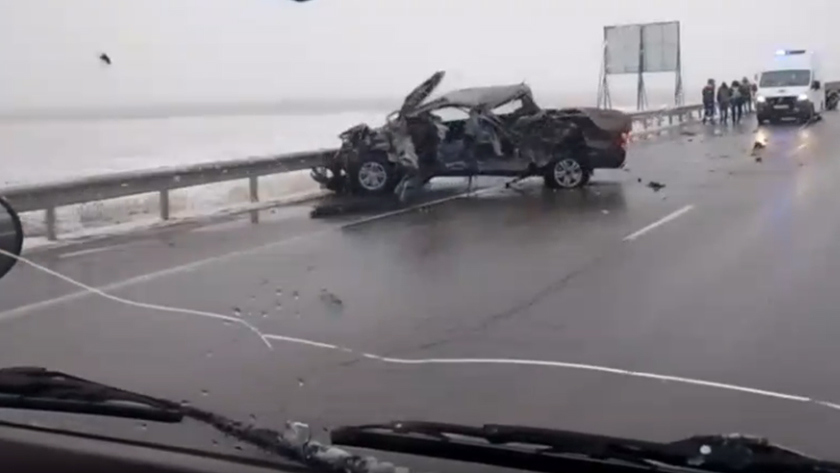 Удивительная история спасения животного