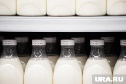 Один стакан молока покрывает значительную часть дневной нормы белка и микроэлементов