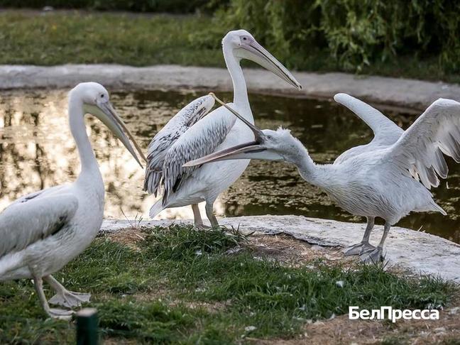 Как отдохнуть белгородцам 17–19 октября - Изображение 1