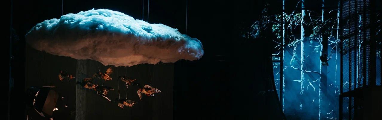 Обложка: В БДТ откроют сезон «Утиной охоты»