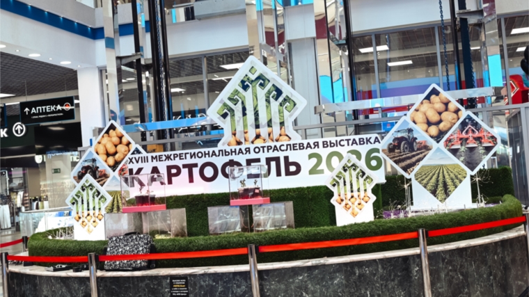 Олег Николаев: В Чувашии сохраняются все меры господдержки картофелеводства