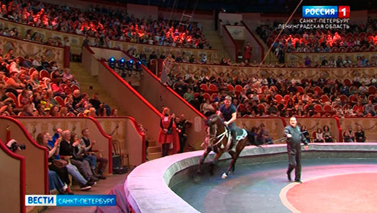 Цирк на фонтанке санкт-петербург. Итальянский цирк togni в спб. Цирк на фонтанке новогоднее представление. Цирк на фонтанке фото. Амфитеатр в цирке на фонтанке.