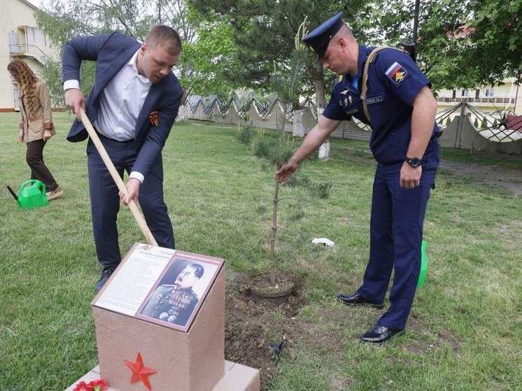В Новомихайловском высадили деревья в рамках акции «Сад памяти»