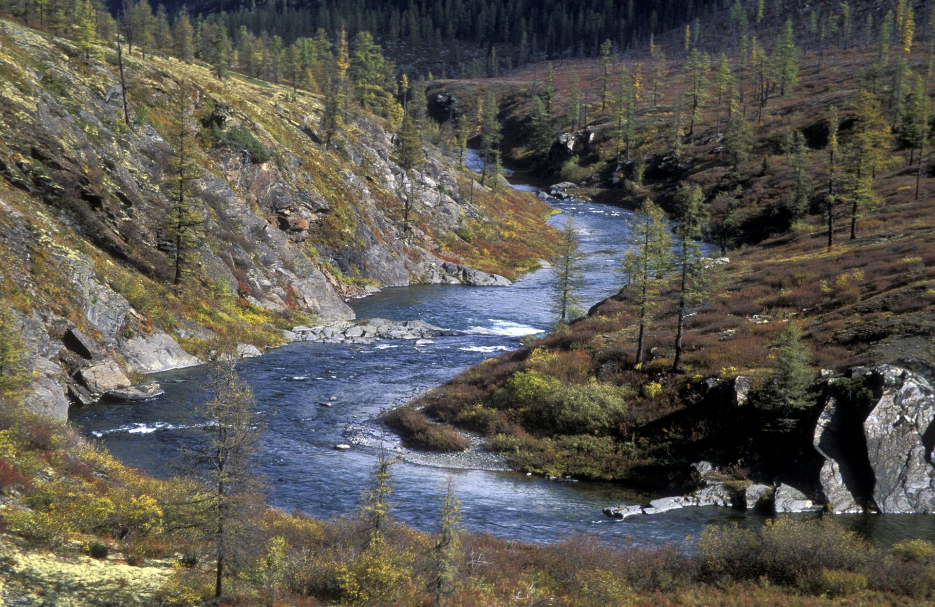 Андрей Медведев прокомментировал идею поворота рек Сибири в Центральную Азию