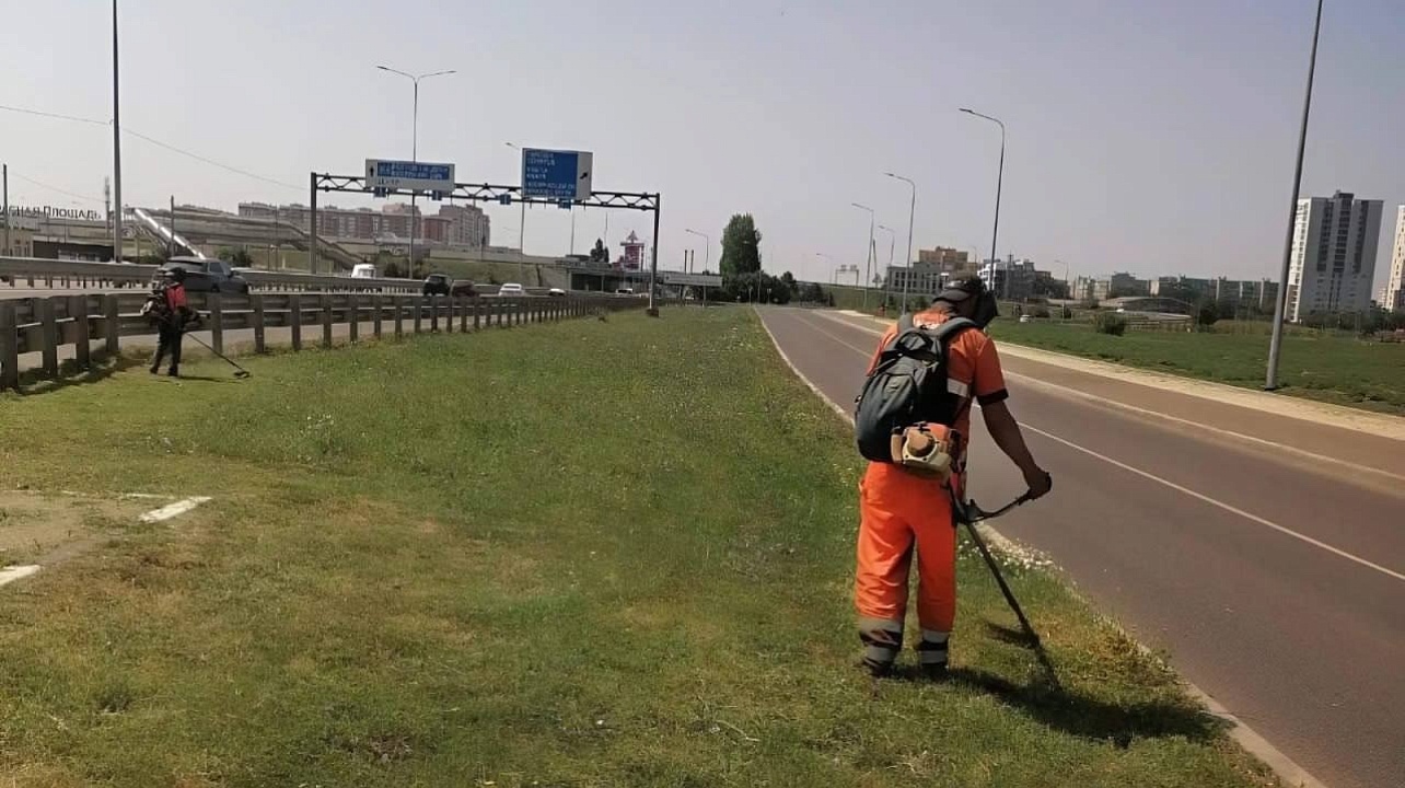 Более 15 тысяч гектаров амброзии выкосили в Краснодаре