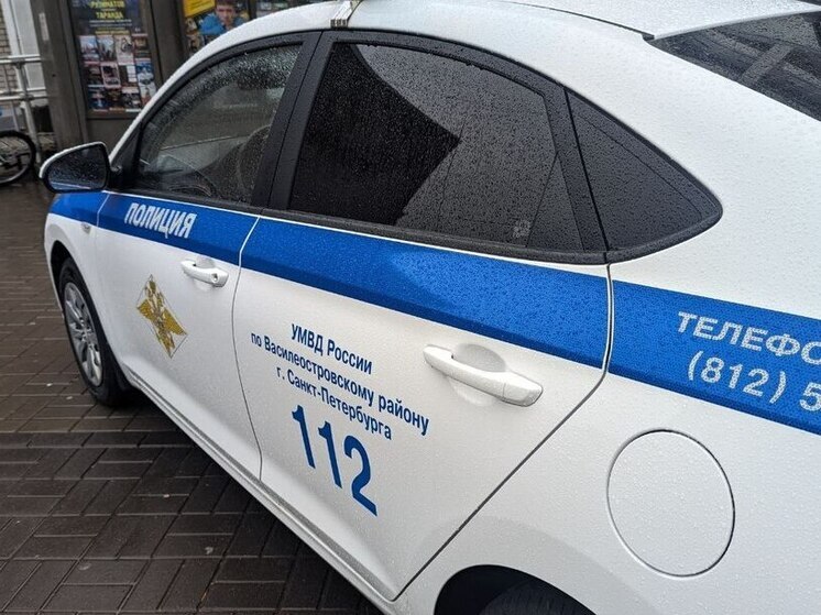 Студентов-мигрантов приглашали «липовые» преподаватели в Гатчинский университет