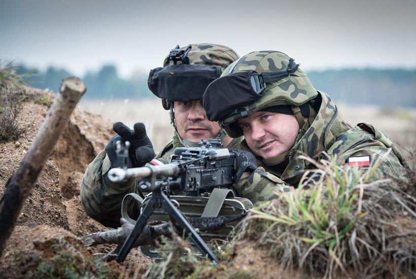 Польские войска