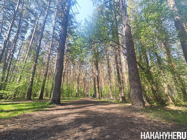 Фото: Накануне.RU