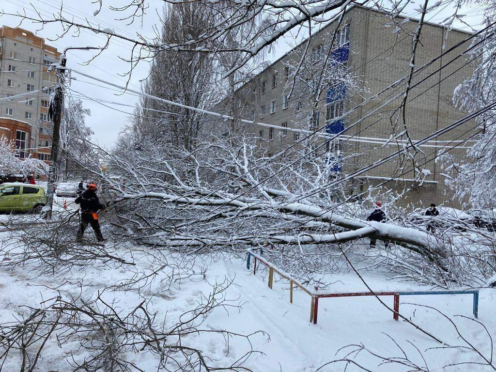 Курск декабрь