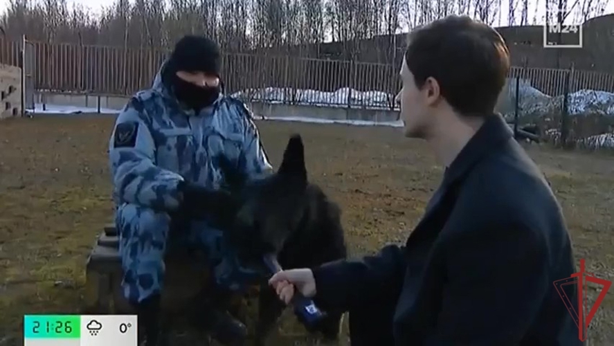 Когда техника бессильна: кинологи ОМОН 