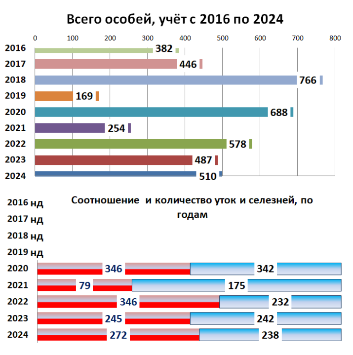 Шейк 2024