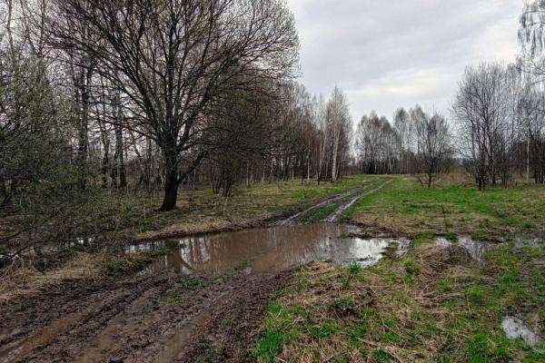 белев дождь