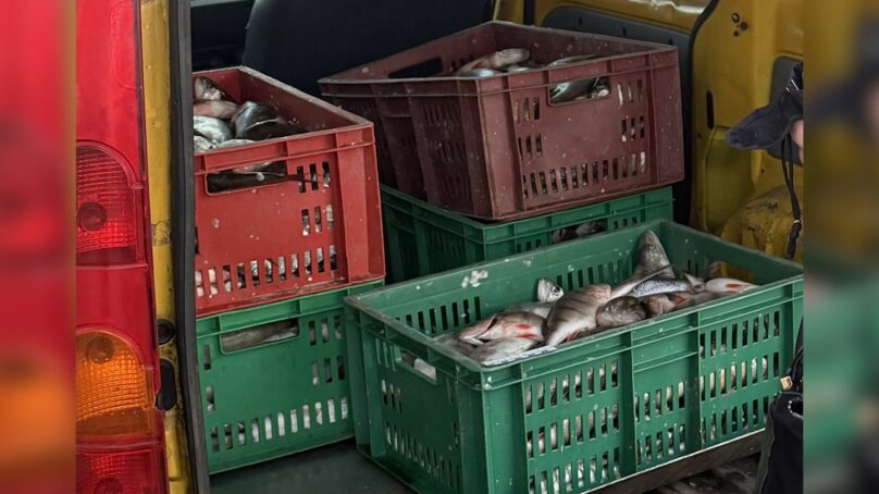 Транспортная полиция задержала трёх калининградцев, которые пытались вывезти с территории предприятия 160 килограммов рыбы