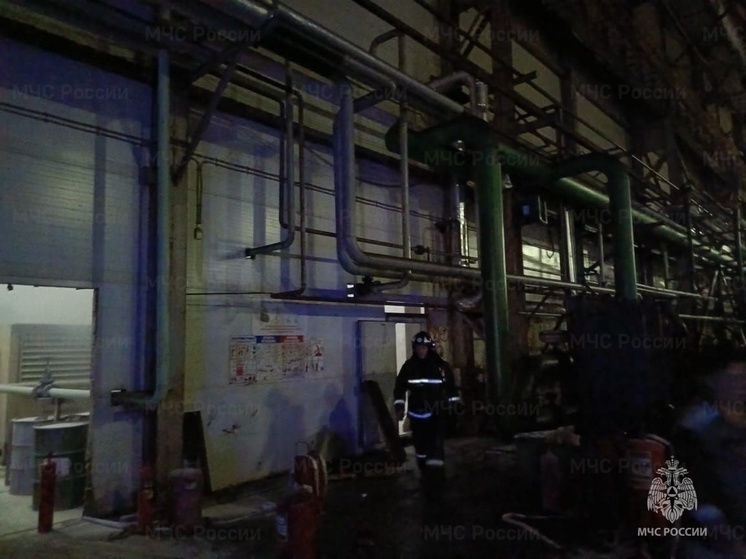 В Муромском районе произошел пожар на производстве