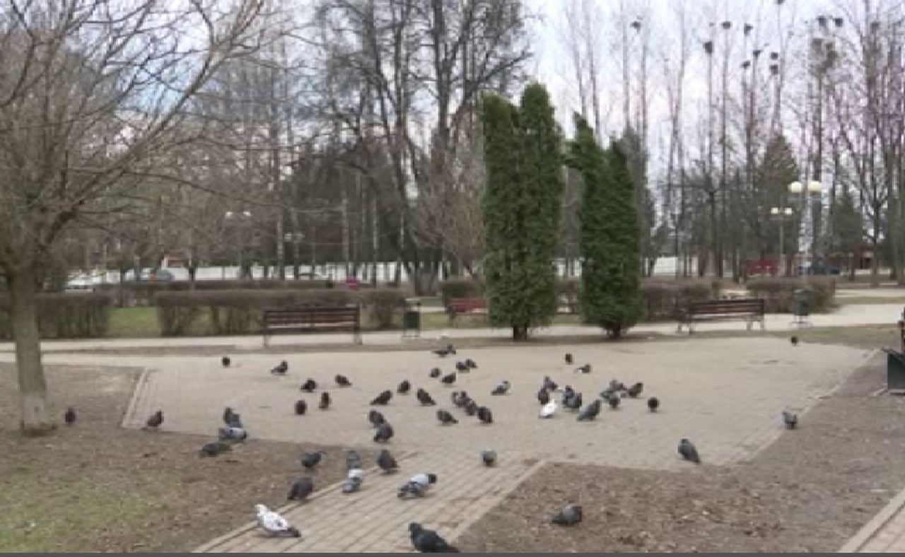 Жители курска куряне. Сквер. Сквер в поселке. Дальние парки Курск. Сквер Куйбышева Воронеж.