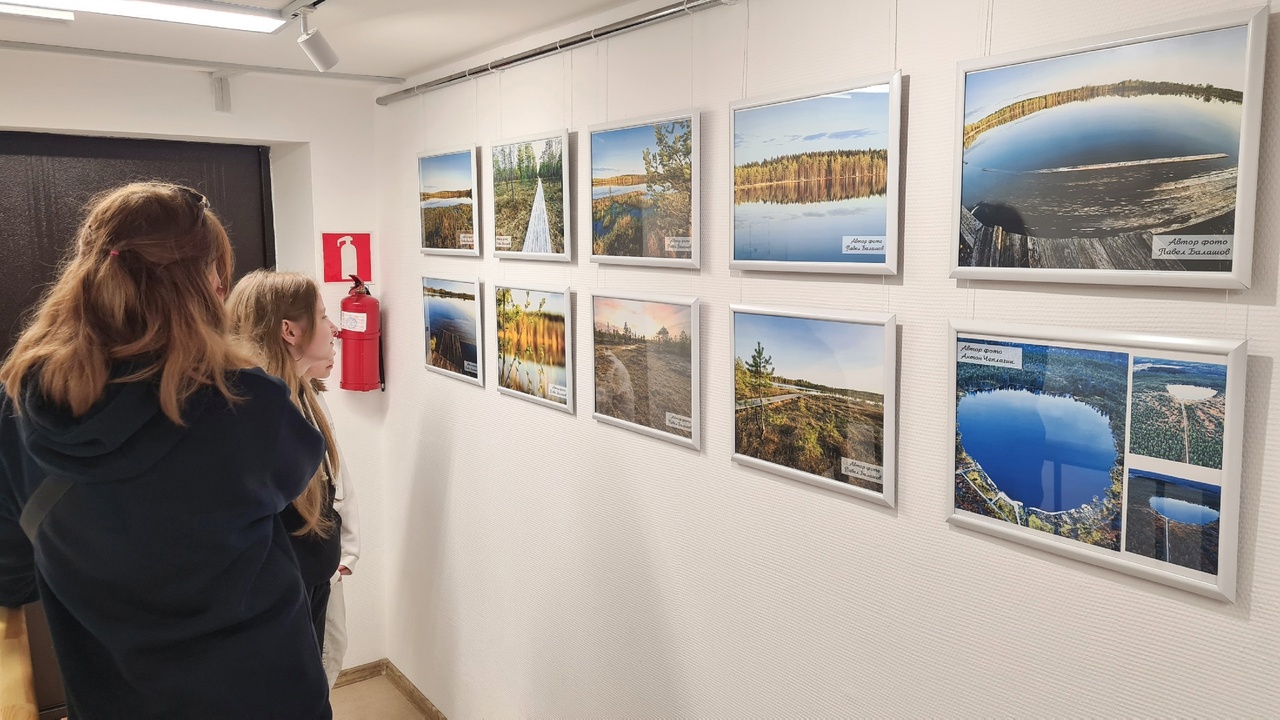 5 музеев. Музей. Подготовка к фотовыставке картинка. Музей фото. Экспозиция фото.