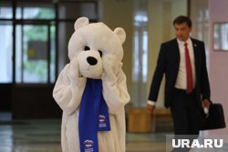 Единороссы столкнулись с противодействием элит на праймериз в сложнейшем для себя регионе