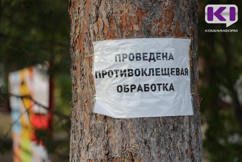 В Коми за неделю от клещей пострадали почти 90 человек, большинство - во дворах домов
