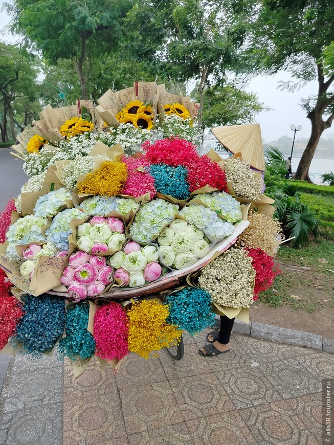 Ханой. Один день на знакомство!