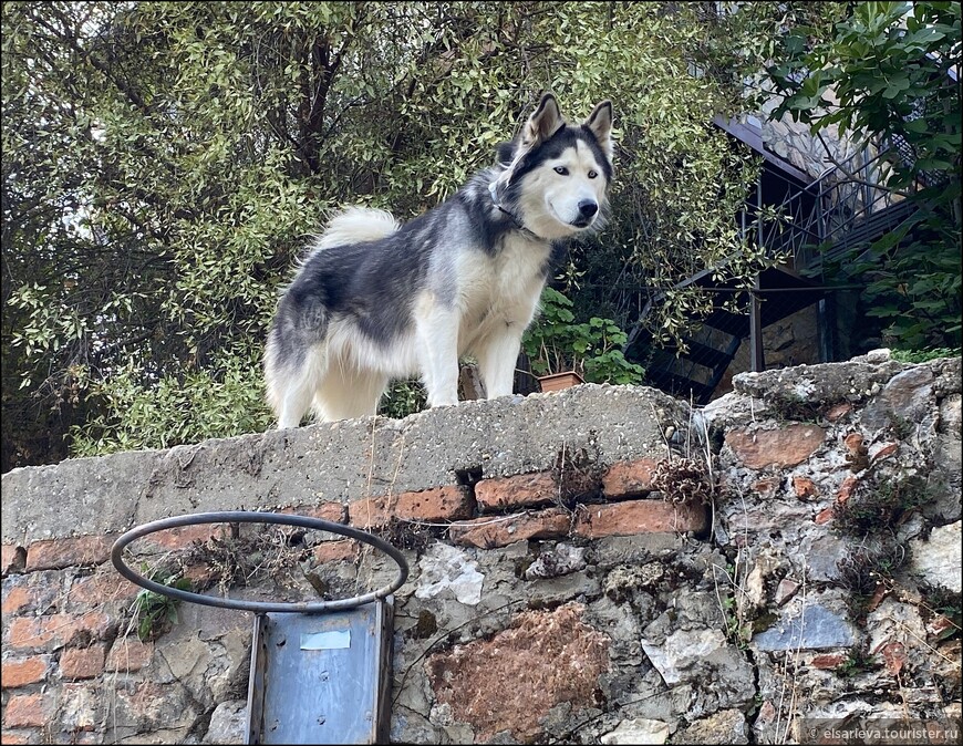 Аланья в ноябре. Пещера Дамлаташ. Красная башня. Судоверфь Терсане.