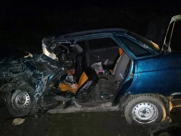 На Алтае два пьяных водителя не смогли разъехаться на ночной дороге