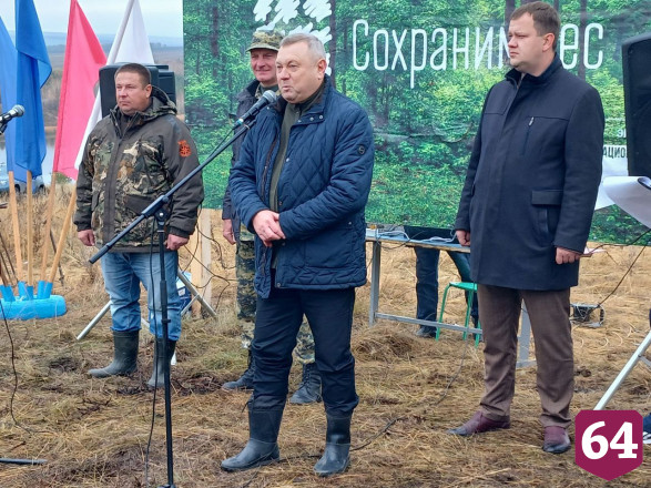 Осенью в Саратовской области высадят 3 миллиона сеянцев 