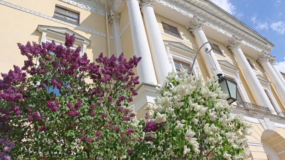 Фото: Павел Борисенко / MR7