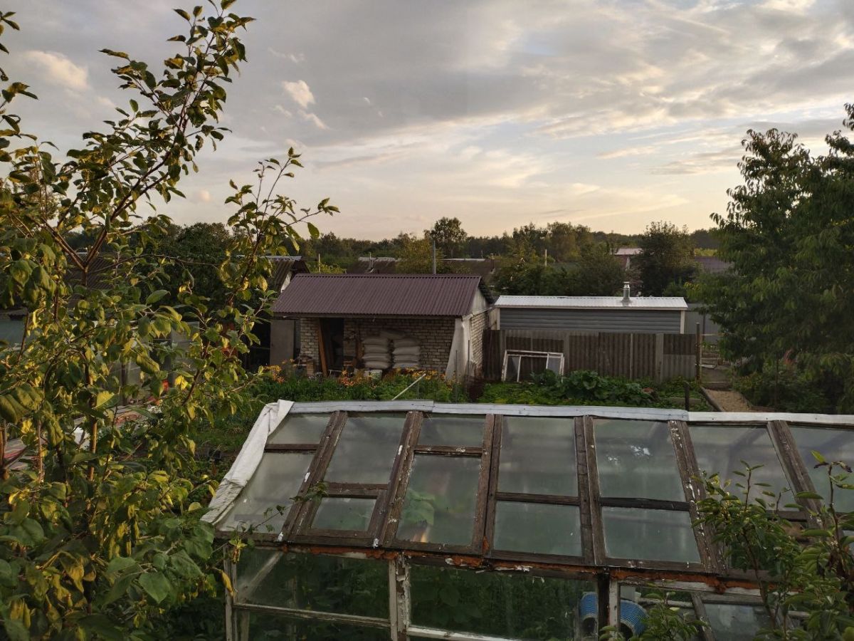 Гнилуша, Долбневка и Чулок: 22 смешных названия сёл и деревень Воронежской области вошли в рейтинг Росреестра