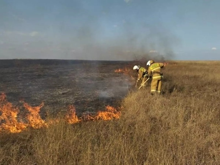 В Ростовской области ожидается высокая пожароопасность на майские праздники