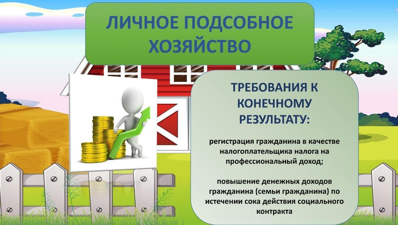 План развития личного подсобного хозяйства для социального контракта образец