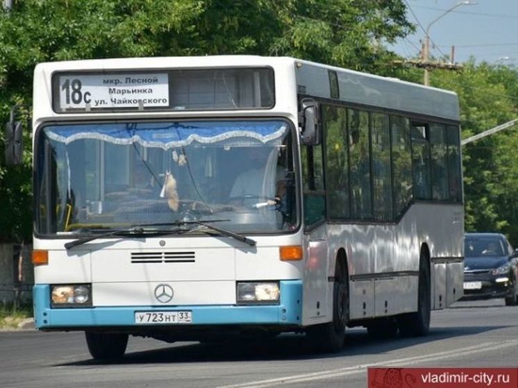 В администрации Владимира ищут желающих обслуживать городские автобусы