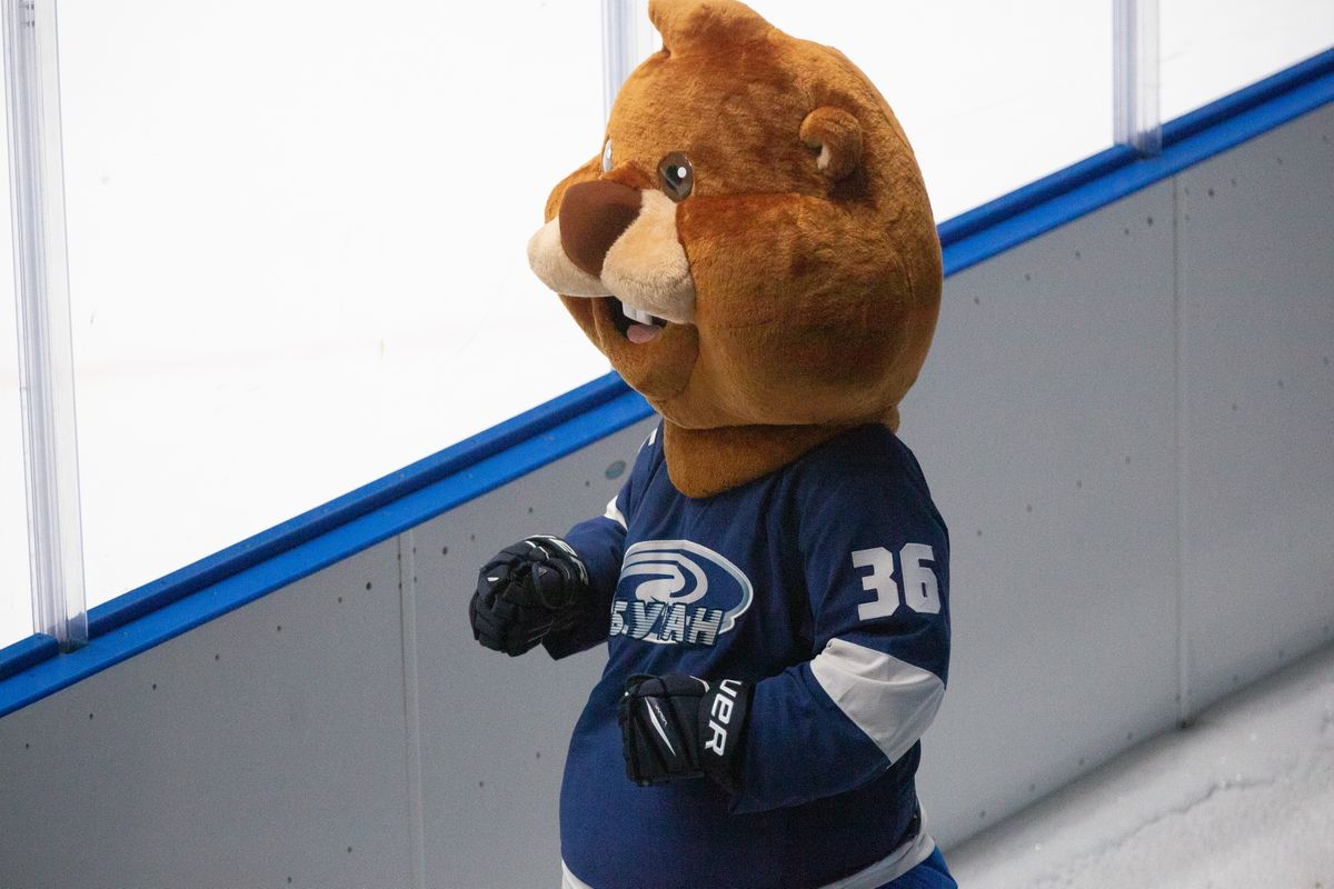 Воронежский «Буран» проиграл на выезде магнитогорской «Магнитке»