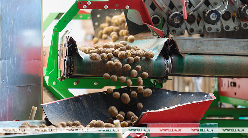 Фото из архива