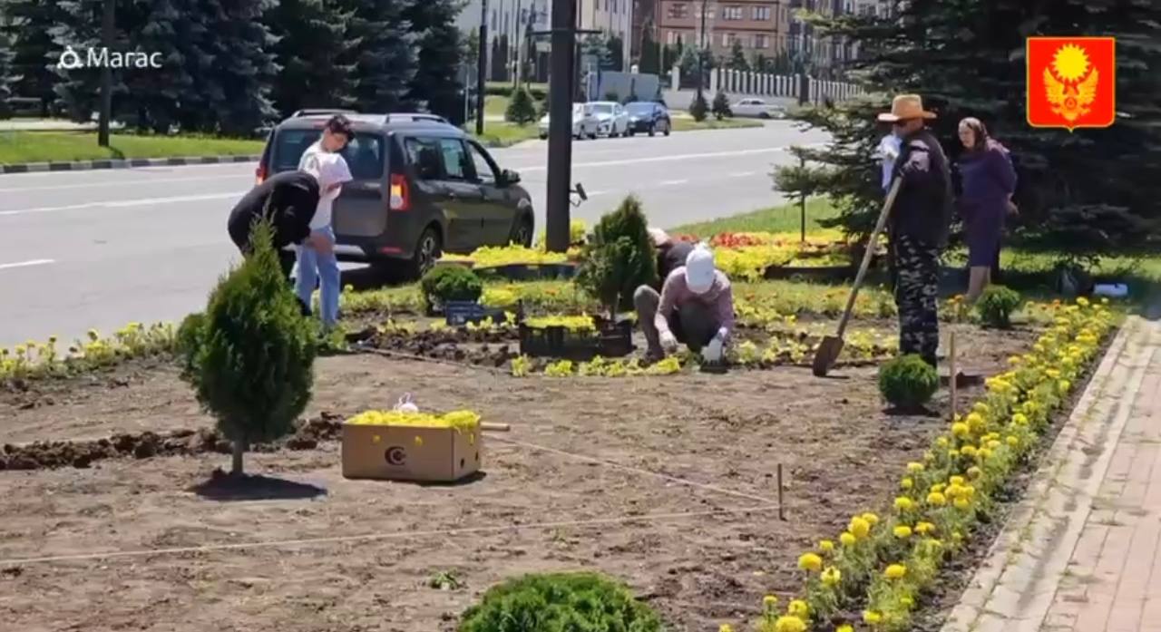 Мачнева Зеленхоз