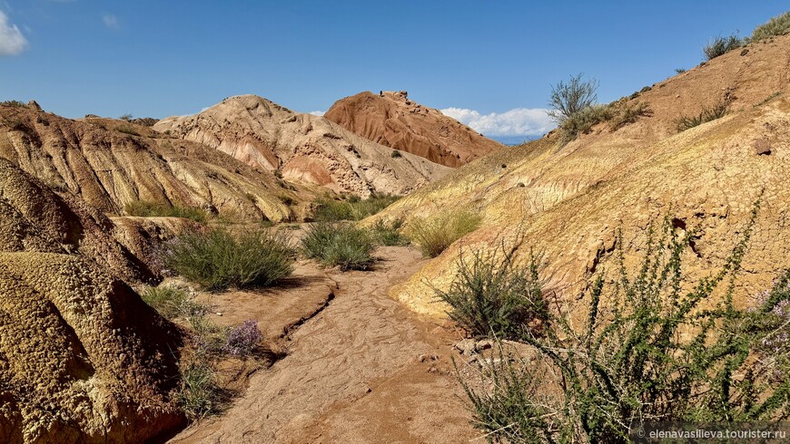 «Сказка» странствий