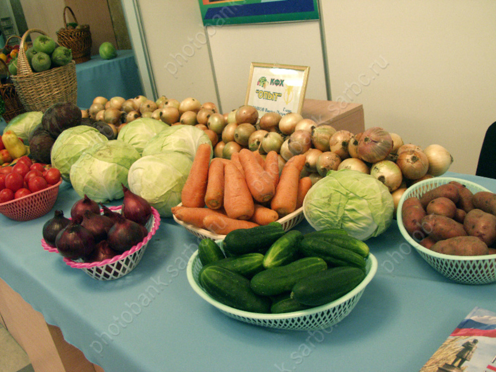 © Фотобанк СарБК