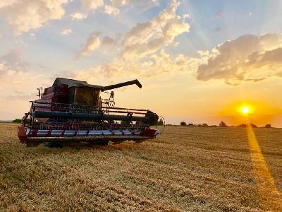 В Саратовской области обмолочено 89% зерновых