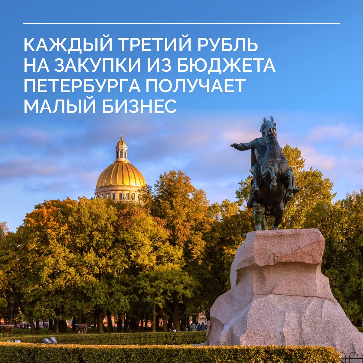 Исполнителями трети всех госконтрактов Санкт-Петербурга выступают субъекты малого бизнеса и социально ориентированные некоммерческие организации