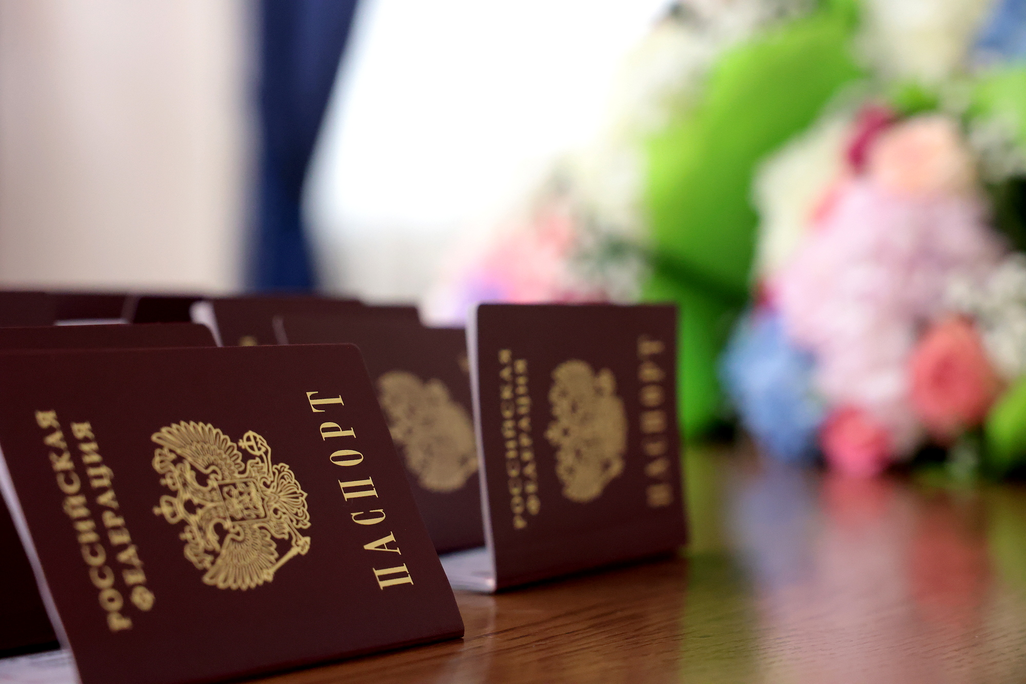 Торжественное вручение паспортов гражданина Российской Федерации юным жителям Ростовской области