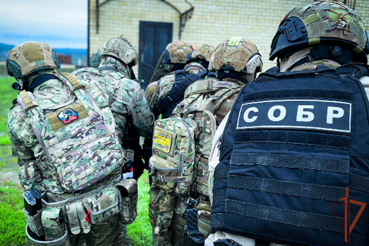 В Ингушетии при силовой поддержке Росгвардии пресечен незаконный оборот оружия