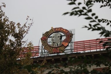 5925102.jpg