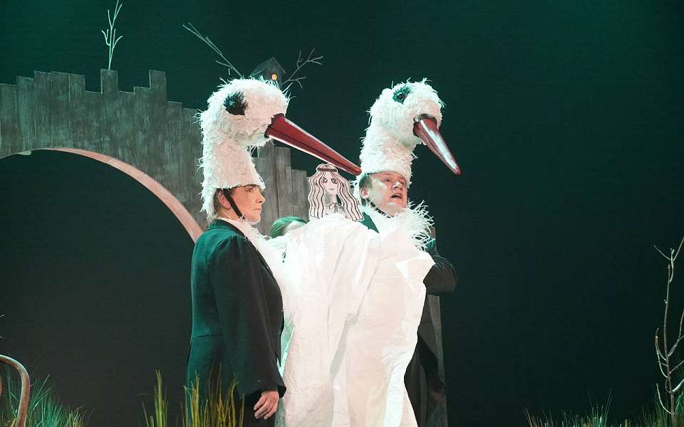 Чем порадует воронежскую публику Театр кукол «Шут» в год своего столетия